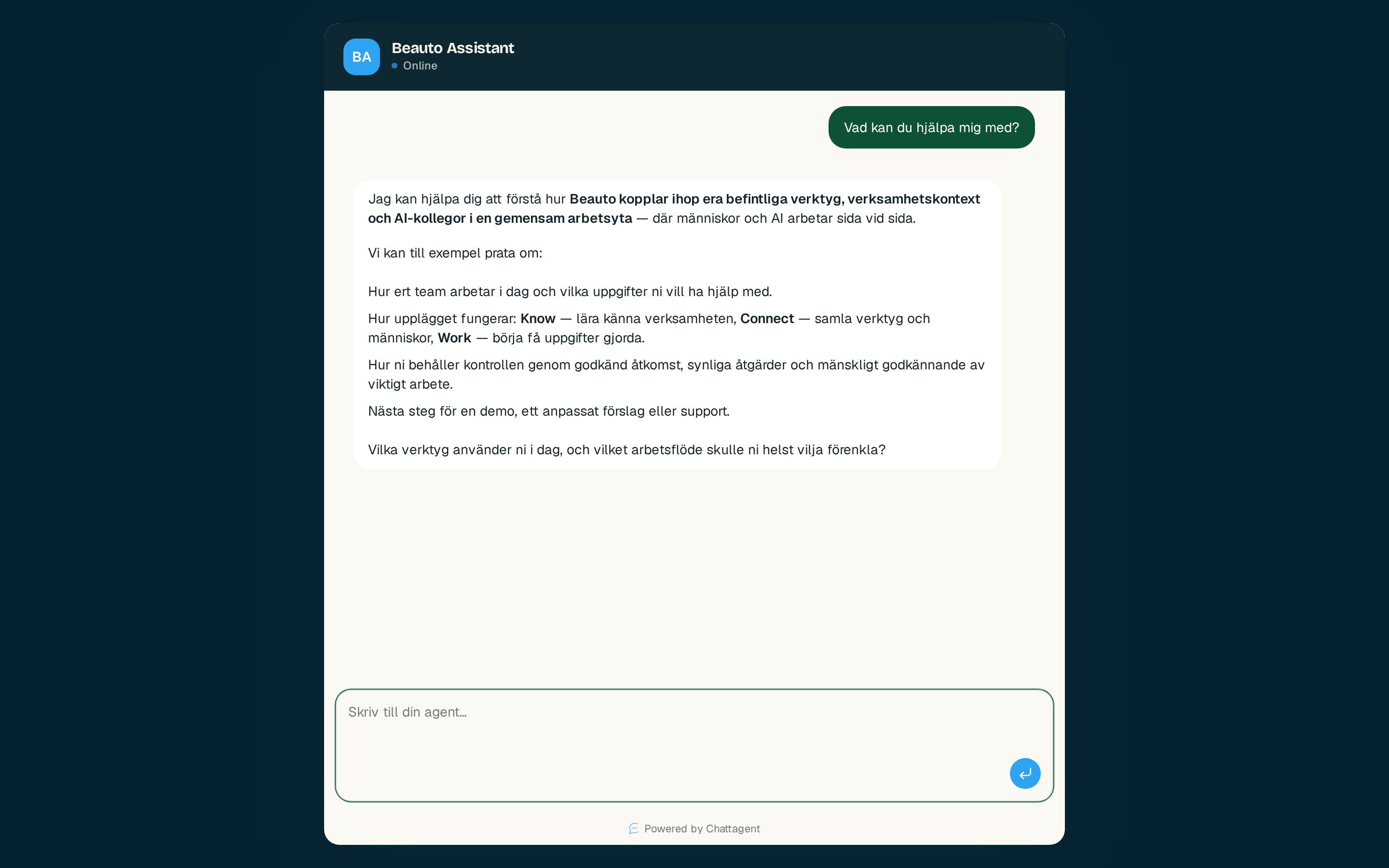 A beautiful chat on your website